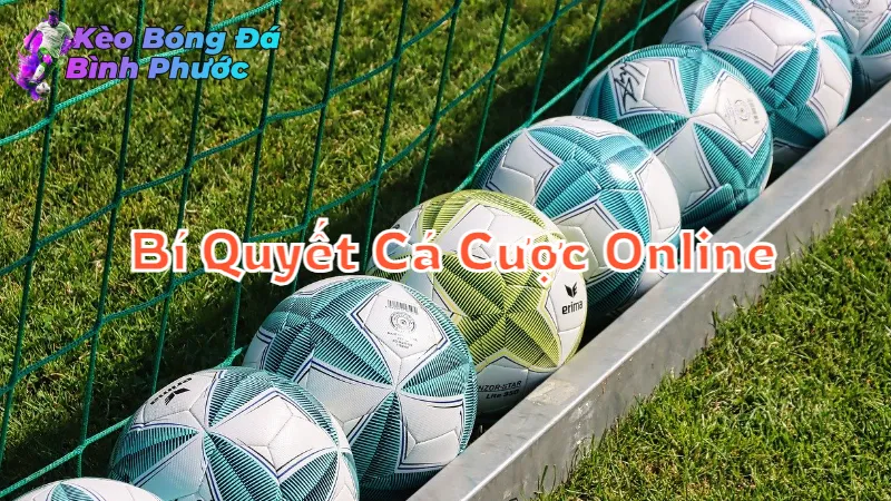 Bí Quyết Cá Cược Online Tại Kèo Bóng Đá Bình Phước 2024