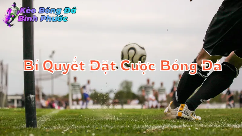 Bí Quyết Đặt Cược Bóng Đá Tỷ Lệ Cao Tại Bình Phước 2024