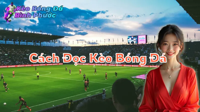 Cách Đọc Kèo Bóng Đá Bình Phước Để Đặt Cược Thành Công 2024