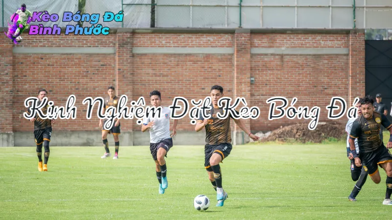 Kinh Nghiệm Đặt Kèo Bóng Đá Cho Người Mới Tại Bình Phước 2024