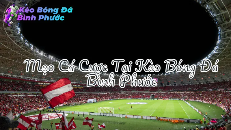 Mẹo Cá Cược Tại Kèo Bóng Đá Bình Phước Cho Người Mới 2024