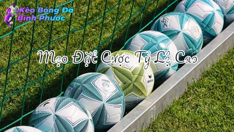 Mẹo Đặt Cược Tỷ Lệ Cao Tại Kèo Bóng Đá Bình Phước