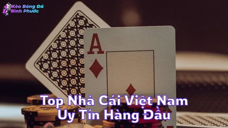 Top Nhà Cái Việt Nam Uy Tín Hàng Đầu